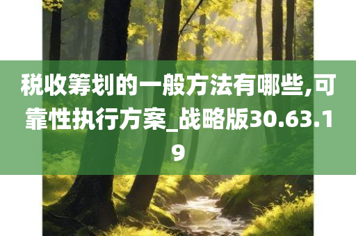 税收筹划的一般方法有哪些,可靠性执行方案_战略版30.63.19