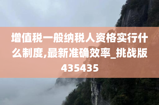 增值税一般纳税人资格实行什么制度,最新准确效率_挑战版435435