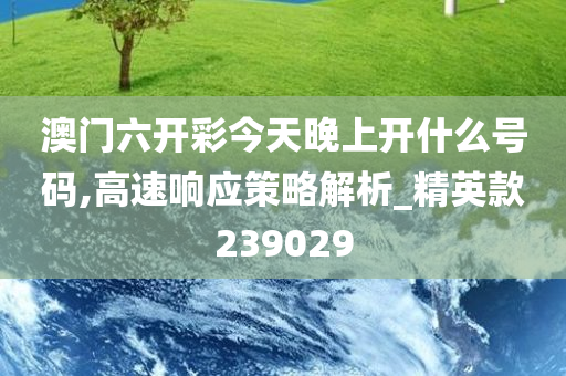 澳门六开彩今天晚上开什么号码,高速响应策略解析_精英款239029