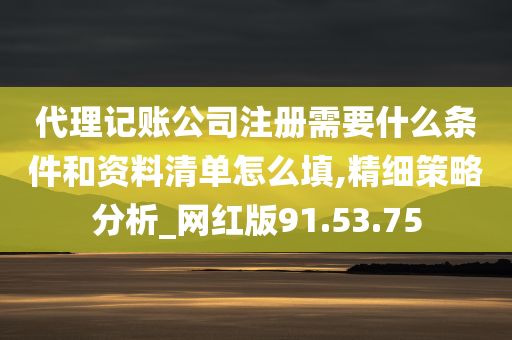 代理记账公司注册需要什么条件和资料清单怎么填,精细策略分析_网红版91.53.75