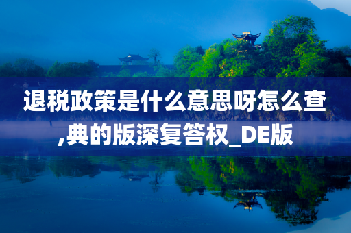 退税政策是什么意思呀怎么查,典的版深复答权_DE版