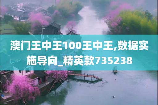 澳门王中王100王中王,数据实施导向_精英款735238