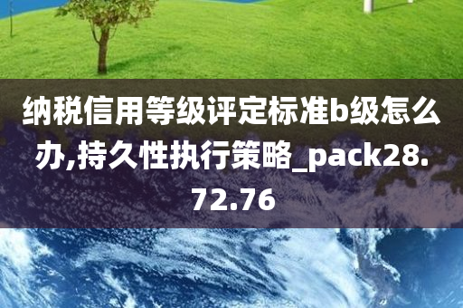 纳税信用等级评定标准b级怎么办,持久性执行策略_pack28.72.76