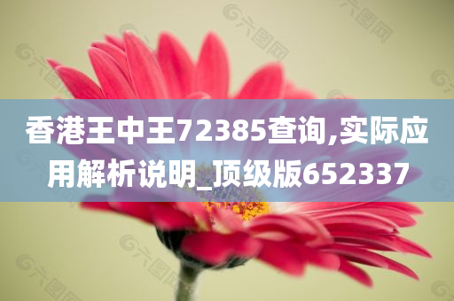 香港王中王72385查询,实际应用解析说明_顶级版652337