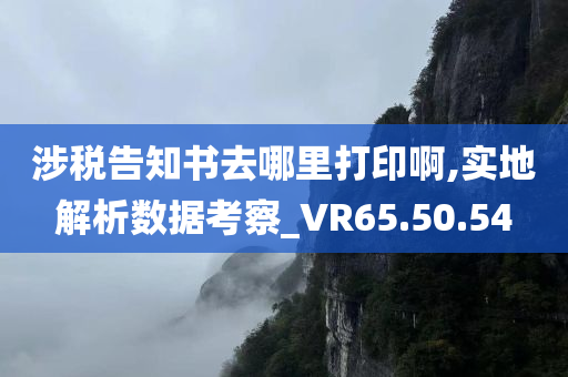 涉税告知书去哪里打印啊,实地解析数据考察_VR65.50.54