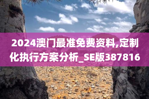 2024澳门最准免费资料,定制化执行方案分析_SE版387816