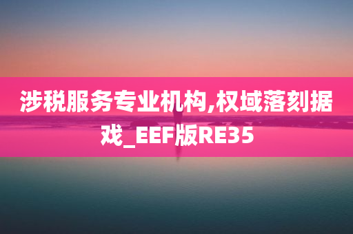 涉税服务专业机构,权域落刻据戏_EEF版RE35