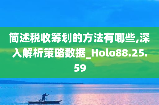 简述税收筹划的方法有哪些,深入解析策略数据_Holo88.25.59