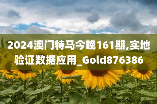 2024澳门特马今晚161期,实地验证数据应用_Gold876386