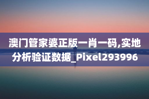 澳门管家婆正版一肖一码,实地分析验证数据_Pixel293996