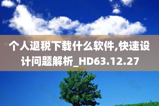 个人退税下载什么软件,快速设计问题解析_HD63.12.27