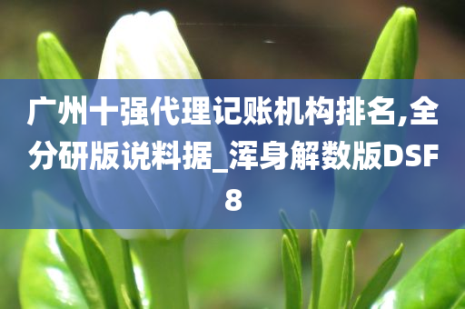 广州十强代理记账机构排名,全分研版说料据_浑身解数版DSF8