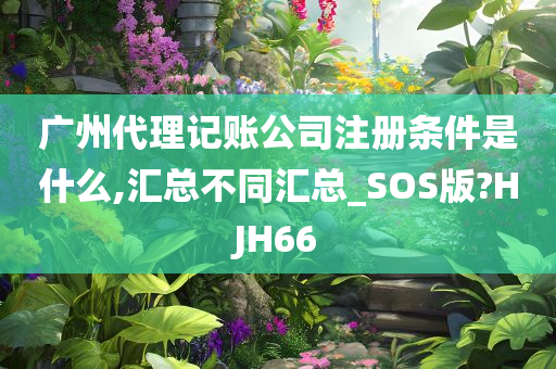 广州代理记账公司注册条件是什么,汇总不同汇总_SOS版?HJH66