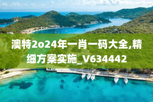 澳特2o24年一肖一码大全,精细方案实施_V634442