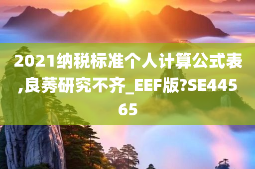 2021纳税标准个人计算公式表,良莠研究不齐_EEF版?SE44565