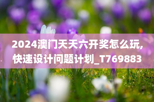 2024澳门天天六开奖怎么玩,快速设计问题计划_T769883