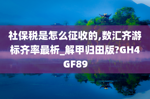 社保税是怎么征收的,数汇齐游标齐率最析_解甲归田版?GH4GF89