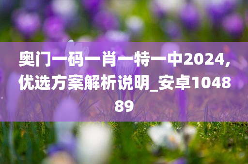 奥门一码一肖一特一中2024,优选方案解析说明_安卓104889