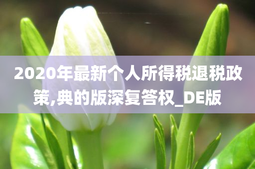 2020年最新个人所得税退税政策,典的版深复答权_DE版