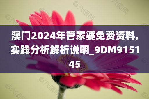 澳门2024年管家婆免费资料,实践分析解析说明_9DM915145