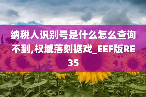 纳税人识别号是什么怎么查询不到,权域落刻据戏_EEF版RE35