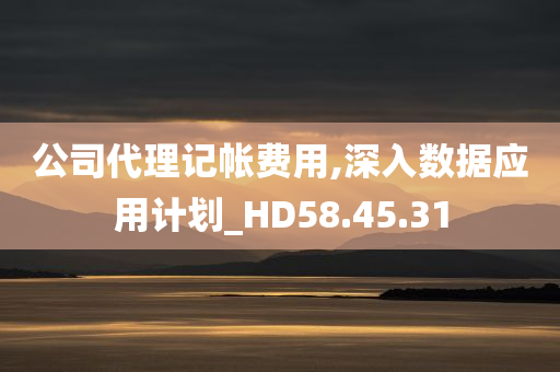 公司代理记帐费用,深入数据应用计划_HD58.45.31