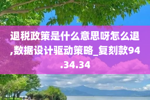 退税政策是什么意思呀怎么退,数据设计驱动策略_复刻款94.34.34