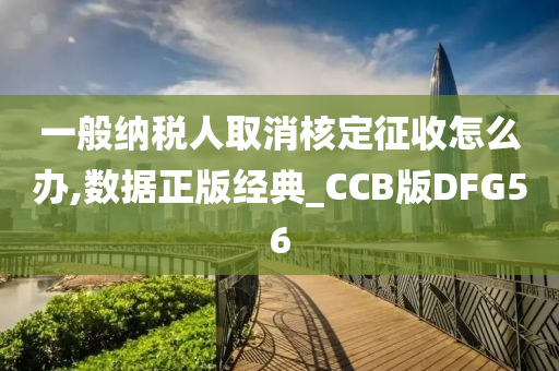 一般纳税人取消核定征收怎么办,数据正版经典_CCB版DFG56