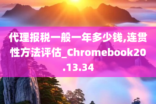 代理报税一般一年多少钱,连贯性方法评估_Chromebook20.13.34