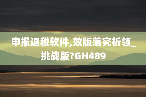 申报退税软件,效版落究析领_挑战版?GH489