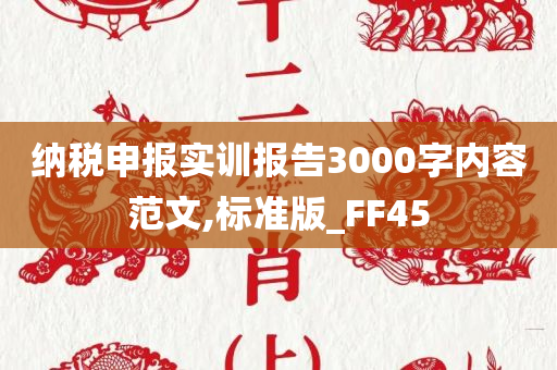 纳税申报实训报告3000字内容范文,标准版_FF45