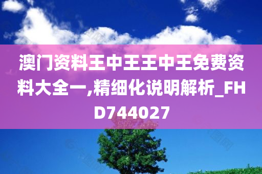 澳门资料王中王王中王免费资料大全一,精细化说明解析_FHD744027