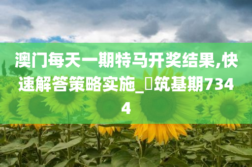 澳门每天一期特马开奖结果,快速解答策略实施_‌筑基期7344