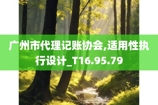 广州市代理记账协会,适用性执行设计_T16.95.79