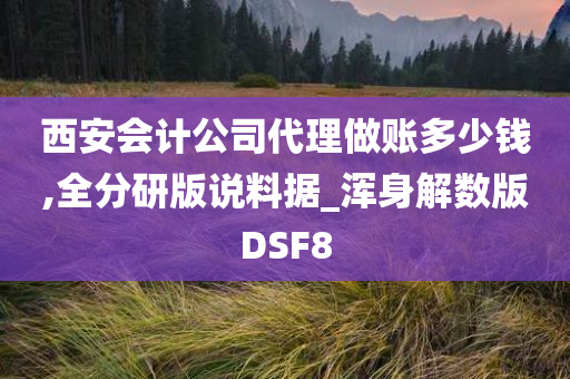 西安会计公司代理做账多少钱,全分研版说料据_浑身解数版DSF8