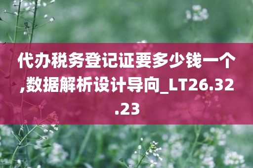 代办税务登记证要多少钱一个,数据解析设计导向_LT26.32.23