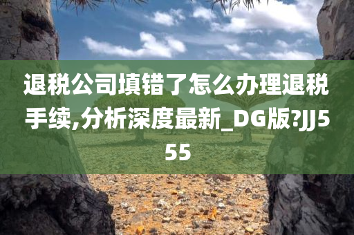 退税公司填错了怎么办理退税手续,分析深度最新_DG版?JJ555