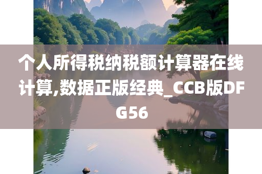 个人所得税纳税额计算器在线计算,数据正版经典_CCB版DFG56