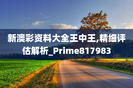 新澳彩资料大全王中王,精细评估解析_Prime817983