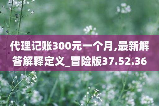 代理记账300元一个月,最新解答解释定义_冒险版37.52.36