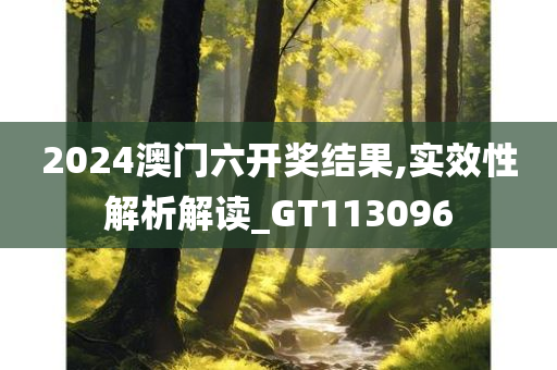 2024澳门六开奖结果,实效性解析解读_GT113096