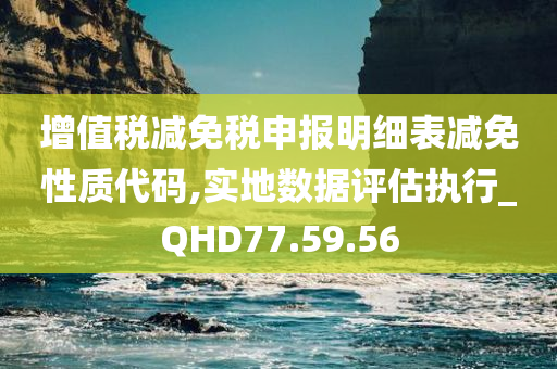 增值税减免税申报明细表减免性质代码,实地数据评估执行_QHD77.59.56