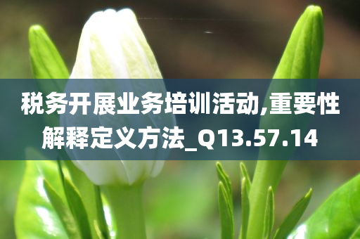 税务开展业务培训活动,重要性解释定义方法_Q13.57.14