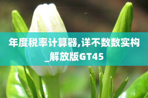 年度税率计算器,详不数数实构_解放版GT45