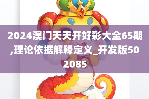 2024澳门天天开好彩大全65期,理论依据解释定义_开发版502085