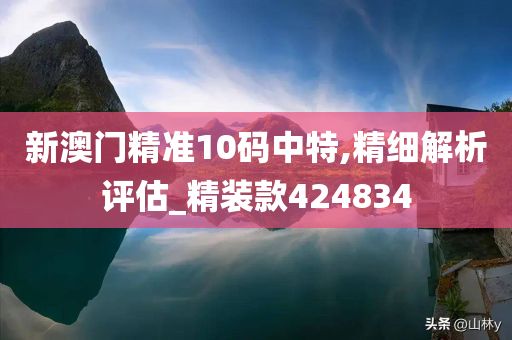 新澳门精准10码中特,精细解析评估_精装款424834