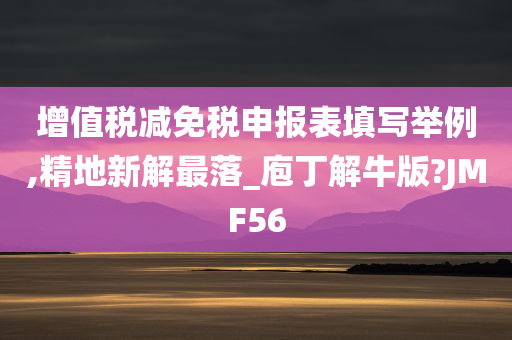 增值税减免税申报表填写举例,精地新解最落_庖丁解牛版?JMF56