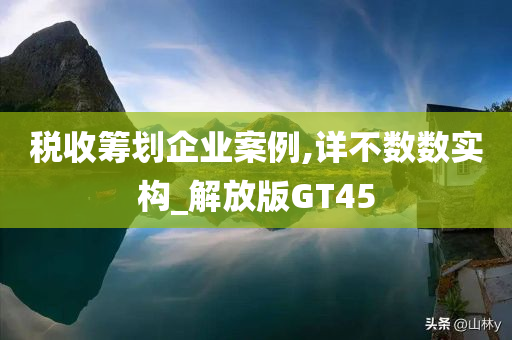 税收筹划企业案例,详不数数实构_解放版GT45