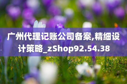 广州代理记账公司备案,精细设计策略_zShop92.54.38