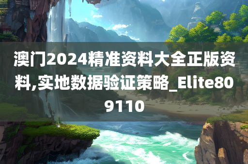 澳门2024精准资料大全正版资料,实地数据验证策略_Elite809110